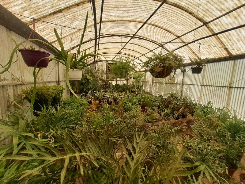 Charming Nursery for Sale – A Blossoming Business Opportunity! - Photo 2