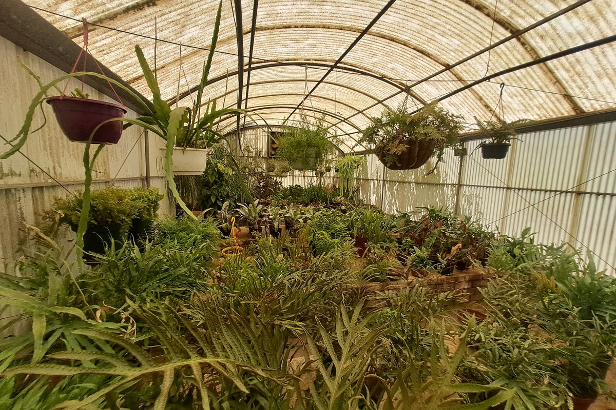 Charming Nursery for Sale – A Blossoming Business Opportunity! - Photo 2