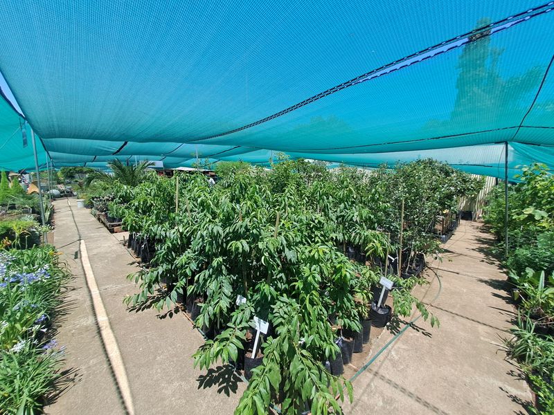 Charming Nursery for Sale – A Blossoming Business Opportunity! - Photo 5