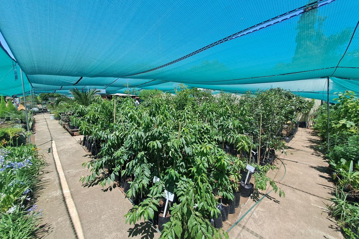 Charming Nursery for Sale – A Blossoming Business Opportunity! - Photo 5