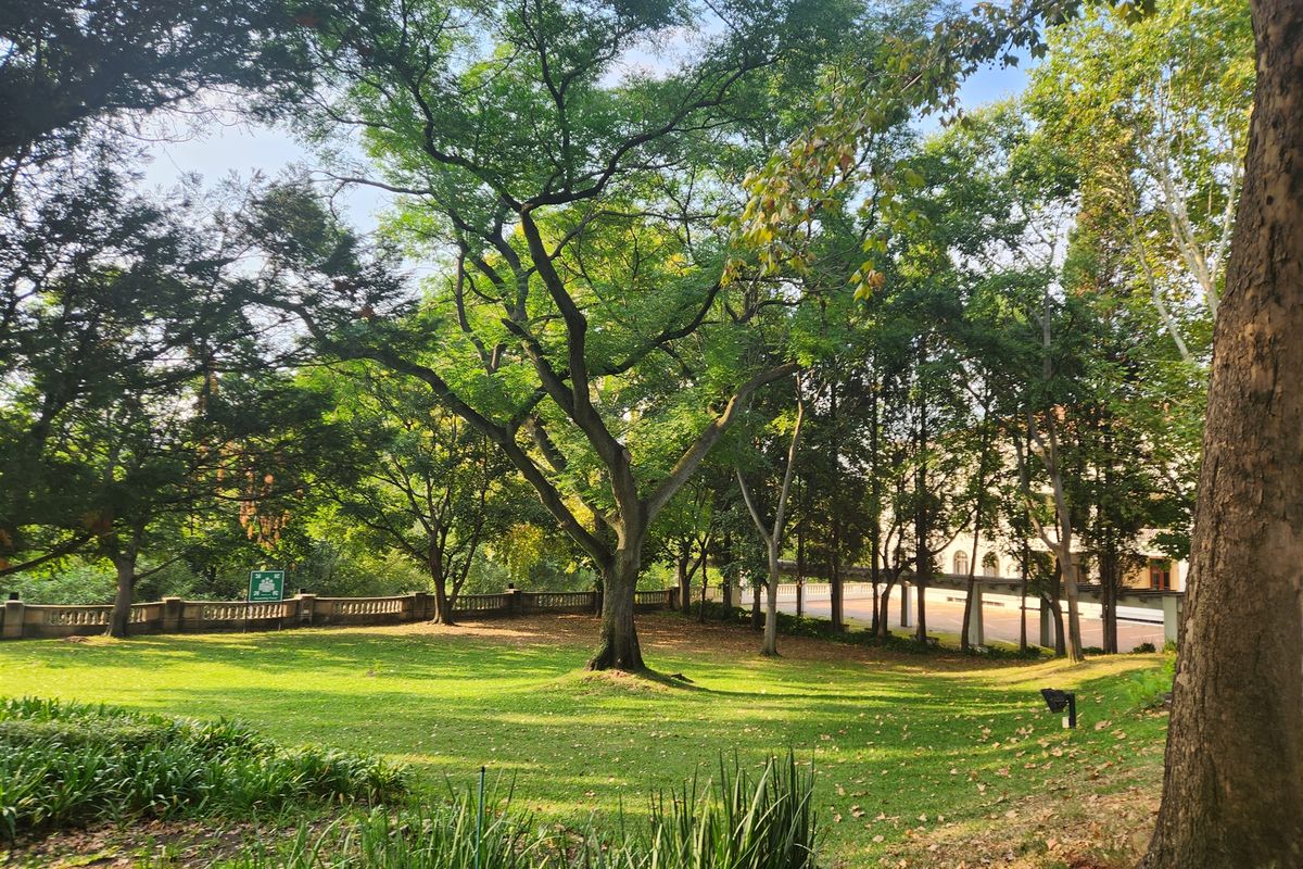 Office space to let in Strathavon, Sandton - Photo 2