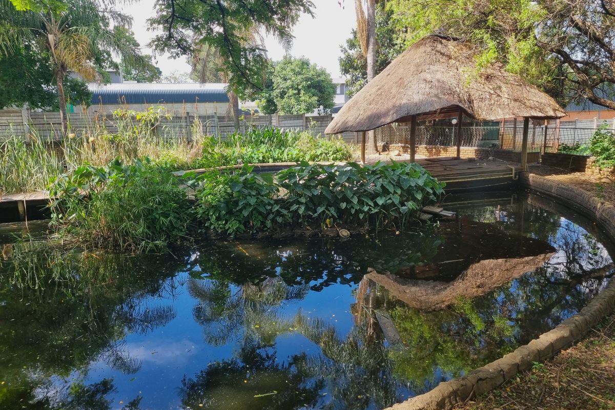 Prime 6.6ha Farm in Boschfontein AH, Rustenburg! - Photo 3