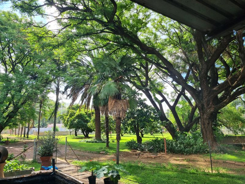 A lush, well-established garden area featuring mature trees, expansive lawn, and perimeter fencing, providing a serene outdoor setting on the farm property.