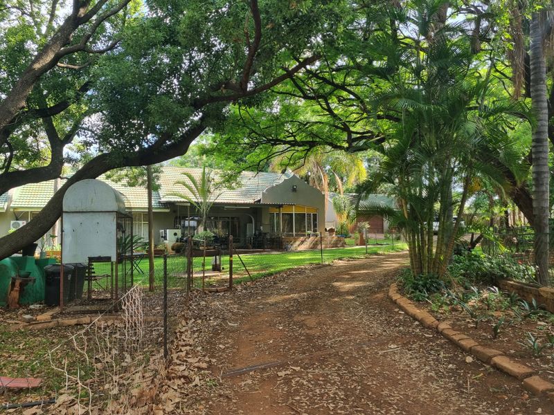 A view of the rear garden and property exterior, featuring mature trees, a lawn, and a rustic driveway approach.