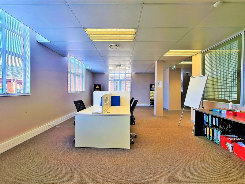 A functional office space featuring a suspended ceiling, recessed lighting, carpeted flooring, and large windows providing natural light.