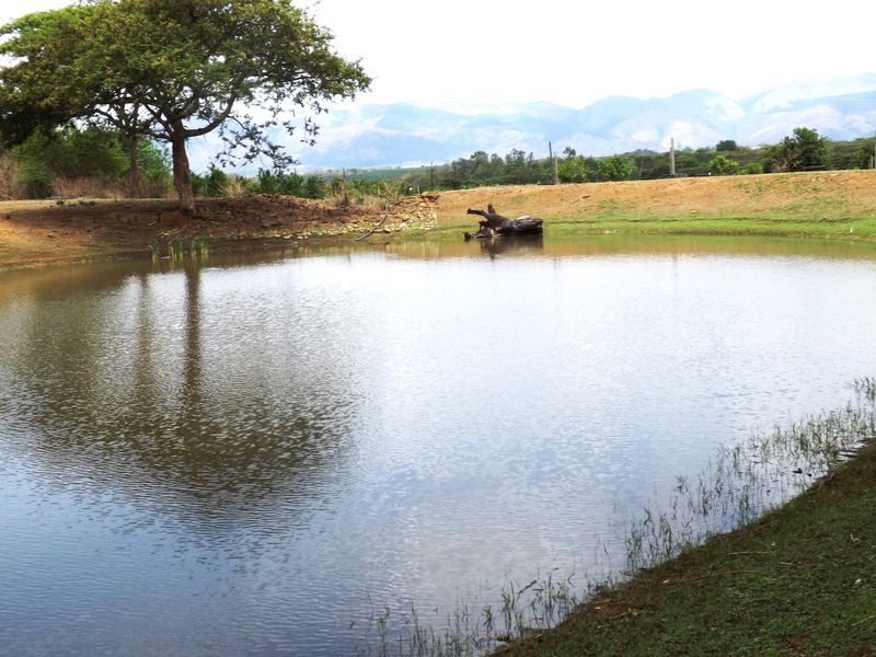 Exceptional Agricultural Farm with Agri-Tourism Potential - Photo 2