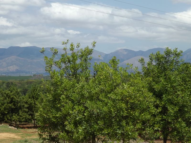 Exceptional Agricultural Farm with Agri-Tourism Potential - Photo 3