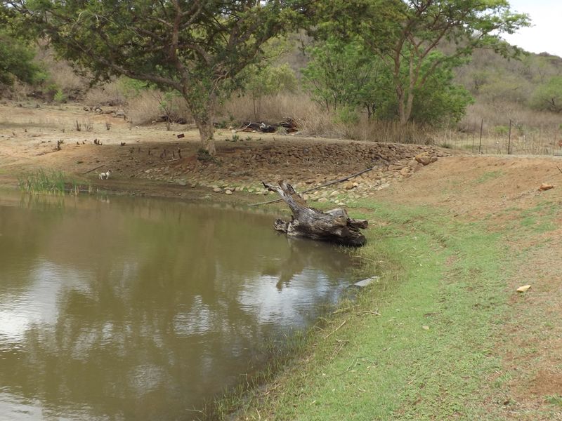 Exceptional Agricultural Farm with Agri-Tourism Potential - Photo 7