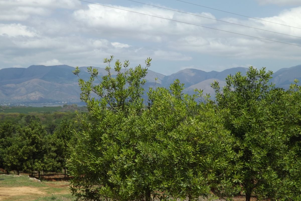 Exceptional Agricultural Farm with Agri-Tourism Potential - Photo 3