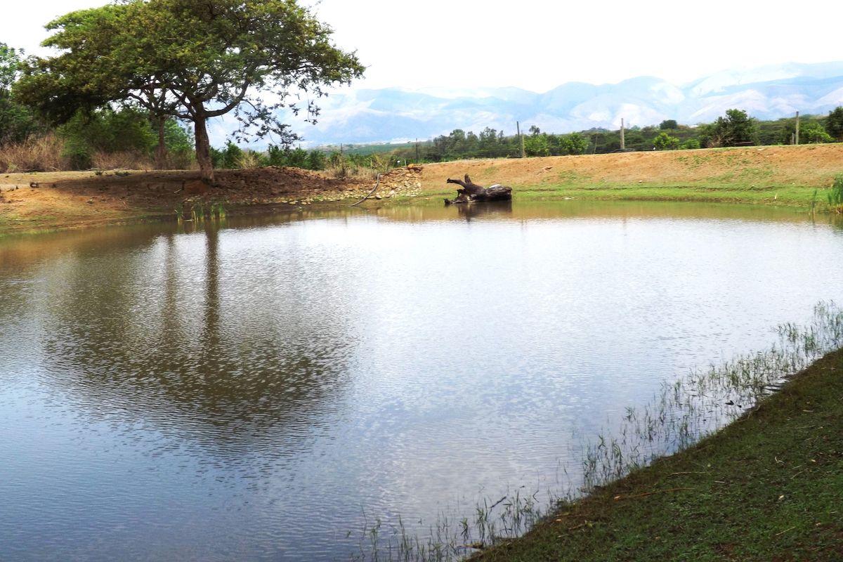 Exceptional Agricultural Farm with Agri-Tourism Potential - Photo 2