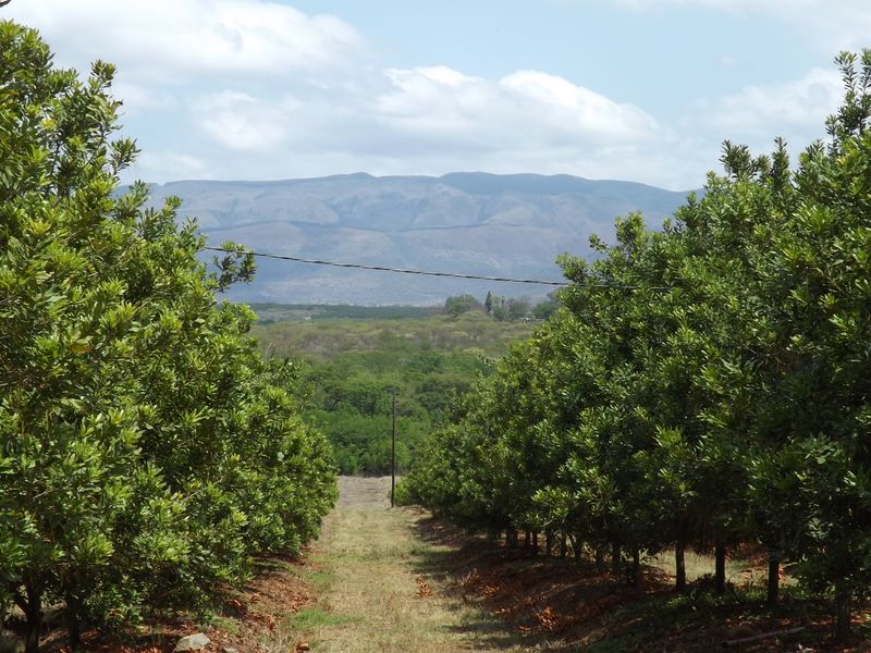 Exceptional Agricultural Farm with Agri-Tourism Potential - Photo 1