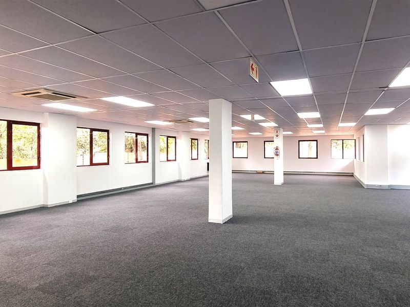 Office space to let on the Ground floor of 36 Homestead Road in Edenburg Rivonia - Photo 2