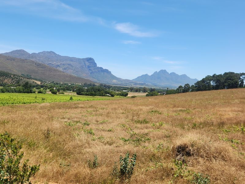 Franschhoek farm for sale - Photo 10