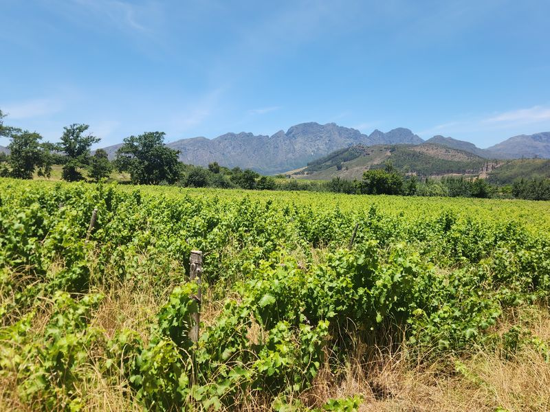Franschhoek farm for sale - Photo 9
