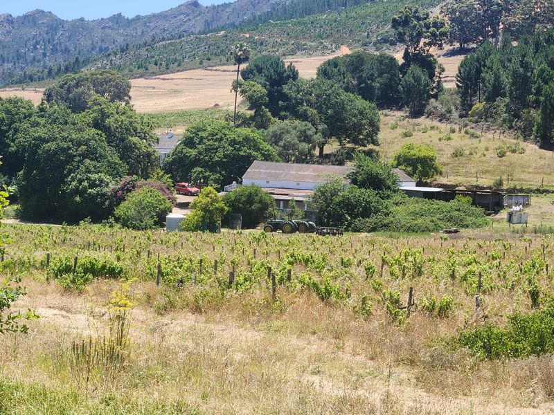 Franschhoek farm for sale - Photo 7