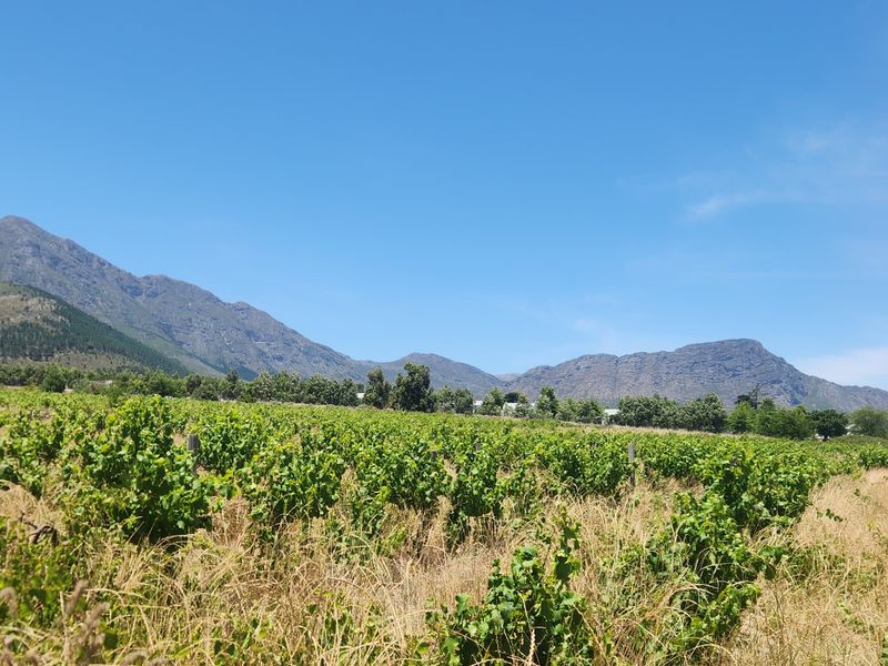 Franschhoek farm for sale - Photo 4