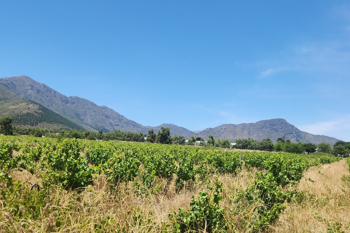 Franschhoek farm for sale - Photo 4