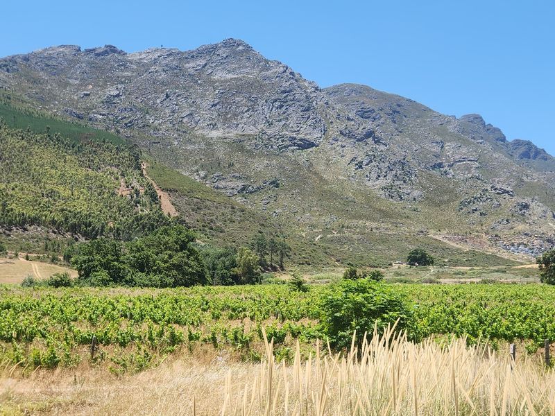 Franschhoek farm for sale - Photo 3