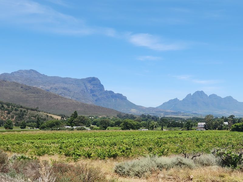 Franschhoek farm for sale - Photo 2