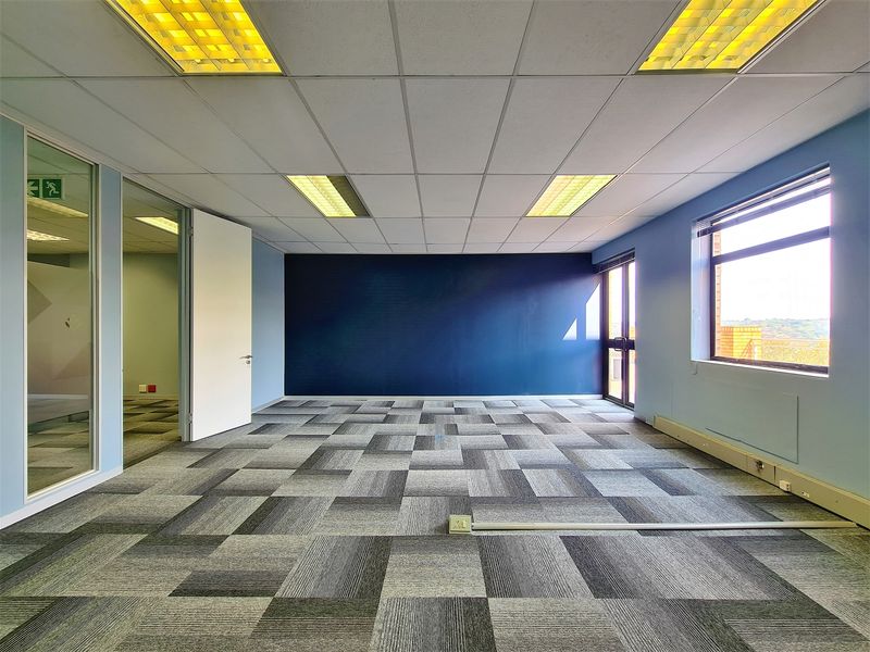 A bright, vacant office space featuring carpet tiles, a suspended ceiling with recessed lighting, and a glass partition wall.