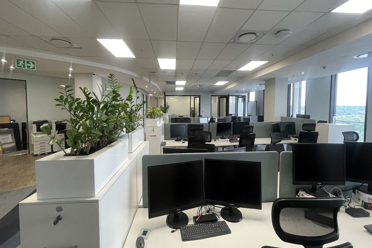 Offices to let in Rosebank - Photo 5