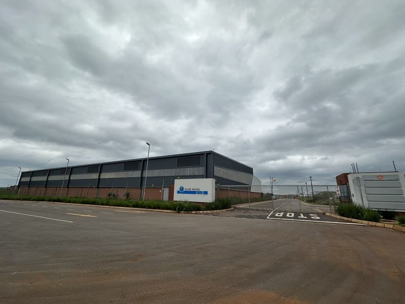 Rent direct from owners! Brand-New Warehouse To Let in Olive Wood Hub, Kempton Park - Photo 2