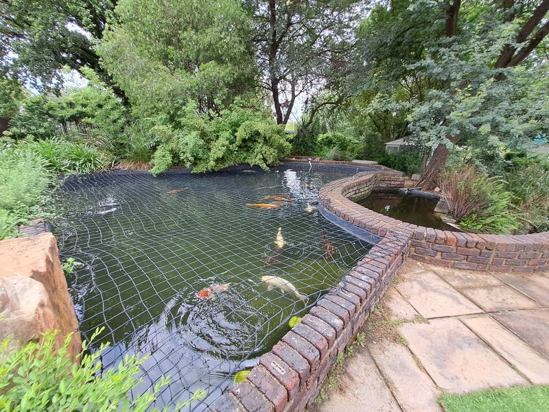 Nursery & Wedding venue, Coffee shop!!!! Plus more. - Photo 8