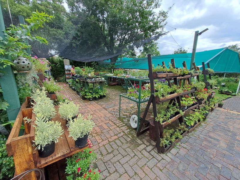 Nursery & Wedding venue, Coffee shop!!!! Plus more. - Photo 9