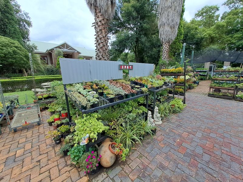 Nursery & Wedding venue, Coffee shop!!!! Plus more. - Photo 6