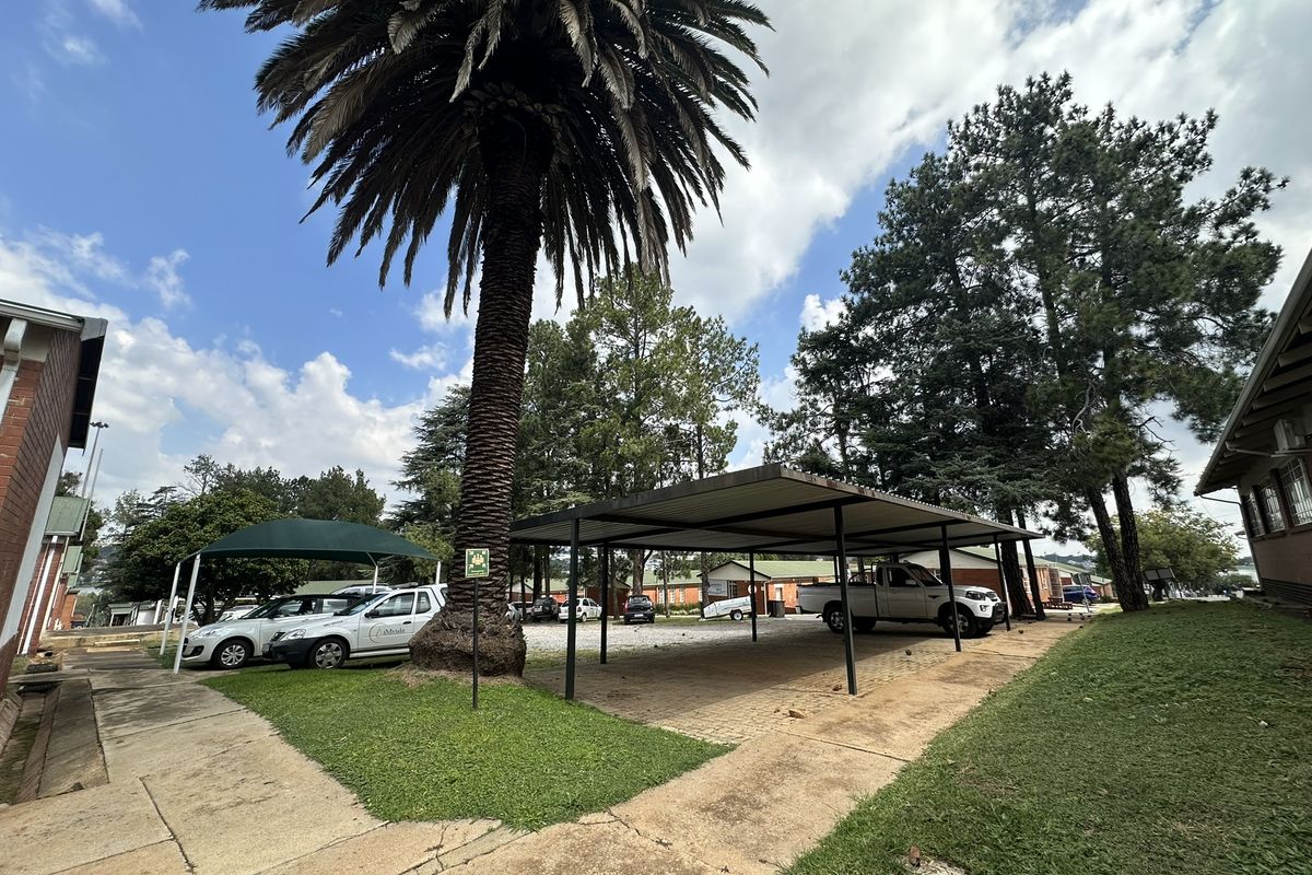 344m2 Office/Showroom/Retail space to let - DIRECT FROM OWNERS, with FREE PARKING + extra perks! - Photo 4