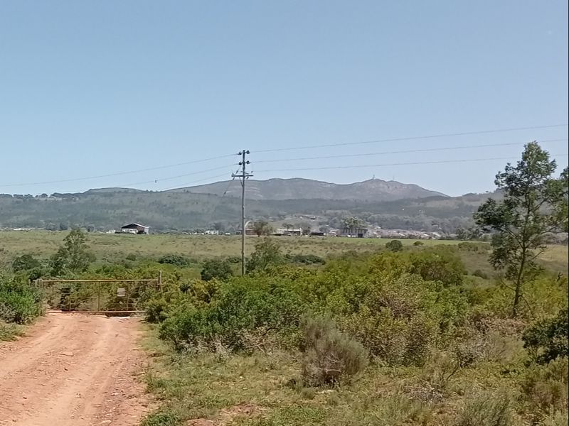 Seize the opportunity to own your piece of paradise! – 55.8645 Hectares of Untapped Potential - Photo 2