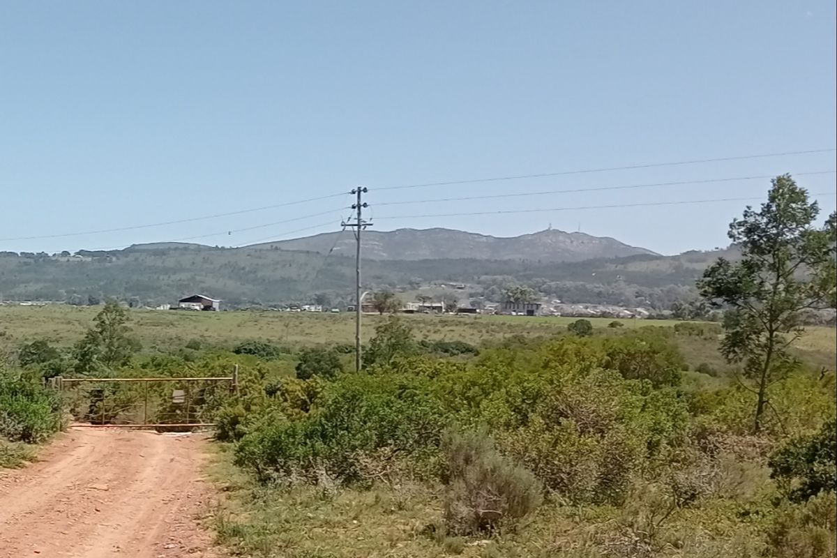 Seize the opportunity to own your piece of paradise! – 55.8645 Hectares of Untapped Potential - Photo 2