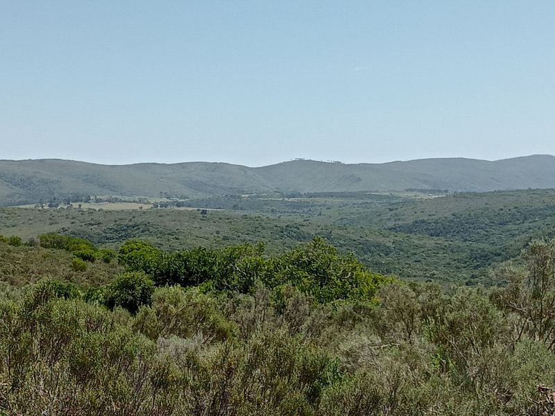 Seize the opportunity to own your piece of paradise! – 55.8645 Hectares of Untapped Potential - Photo 3