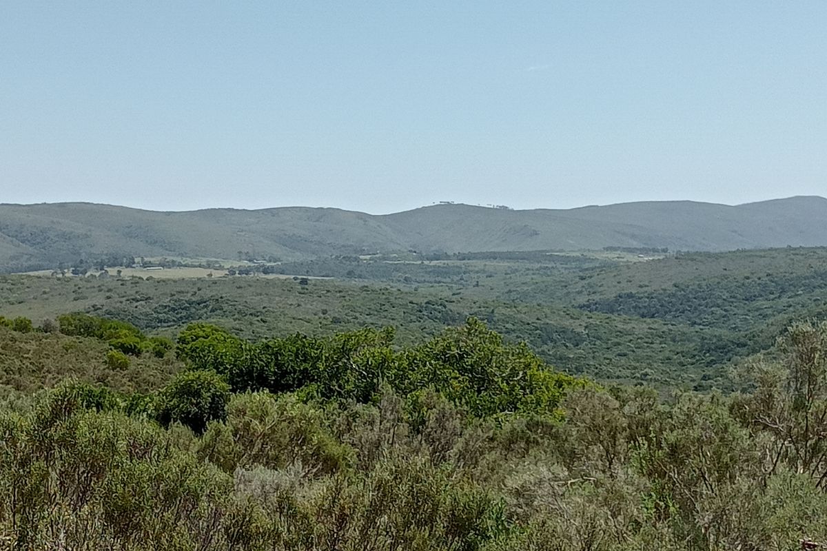 Seize the opportunity to own your piece of paradise! – 55.8645 Hectares of Untapped Potential - Photo 3