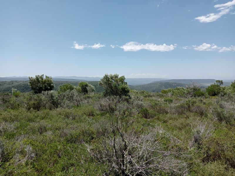 Seize the opportunity to own your piece of paradise! – 55.8645 Hectares of Untapped Potential - Photo 5