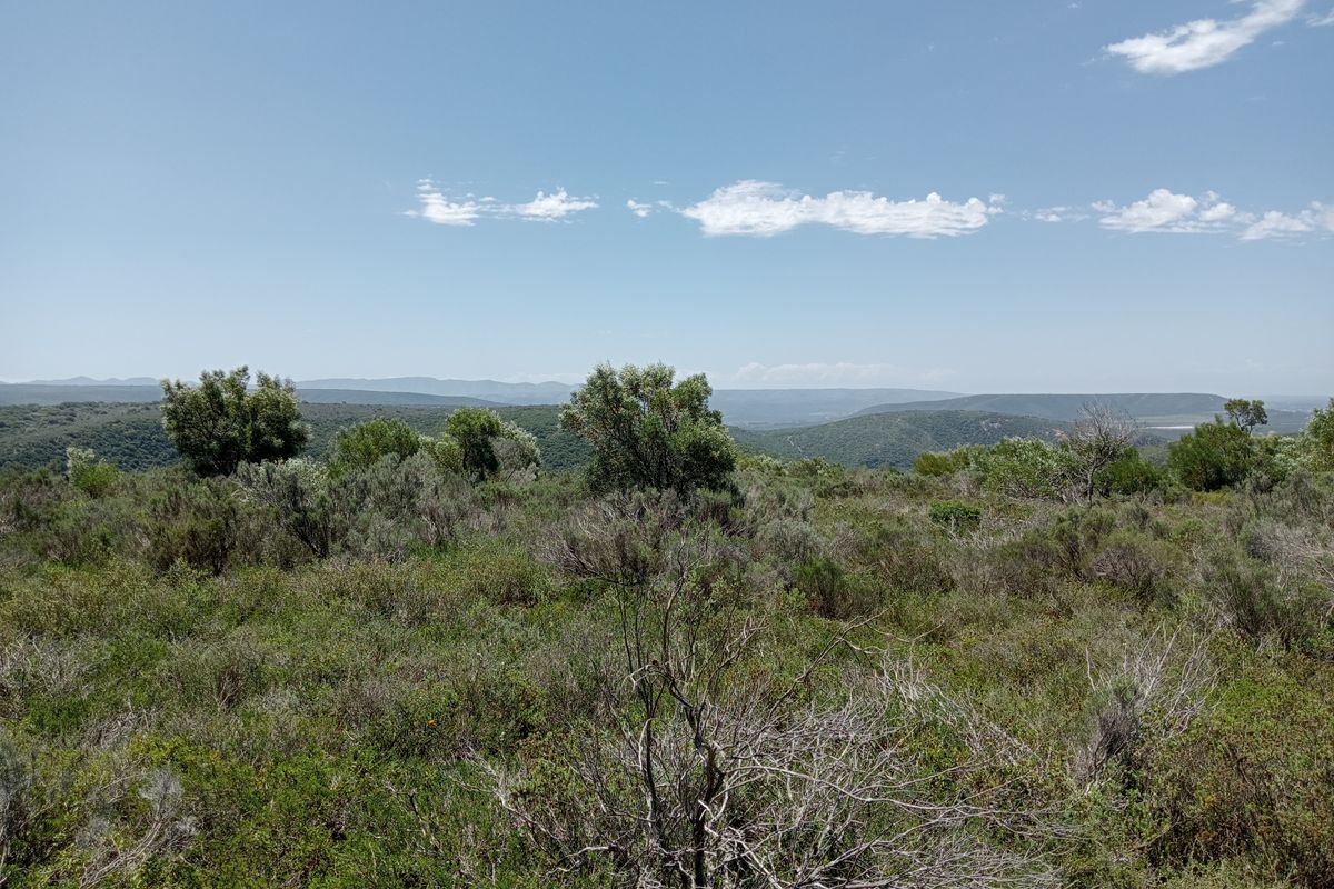 Seize the opportunity to own your piece of paradise! – 55.8645 Hectares of Untapped Potential - Photo 5