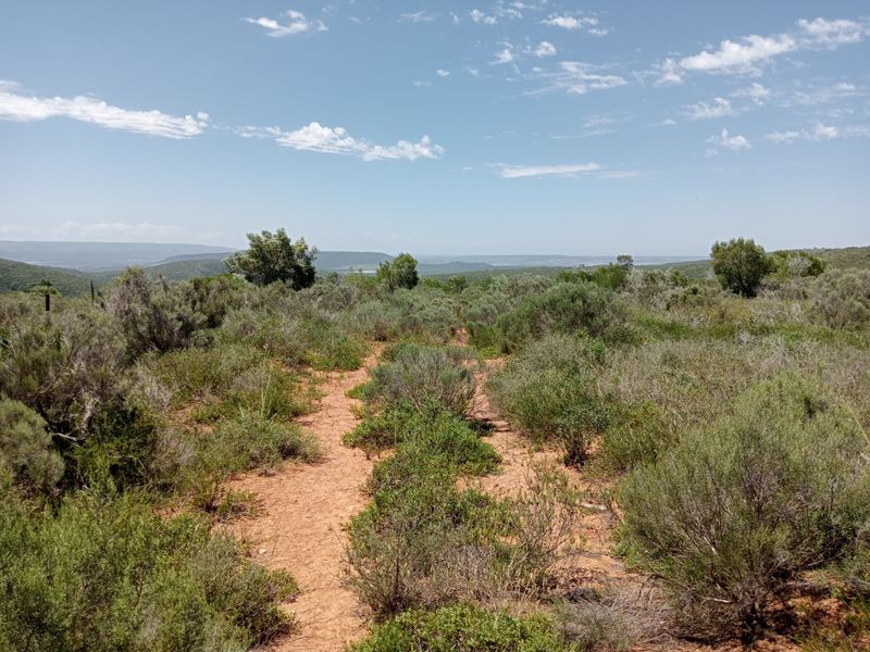 Seize the opportunity to own your piece of paradise! – 55.8645 Hectares of Untapped Potential - Photo 4