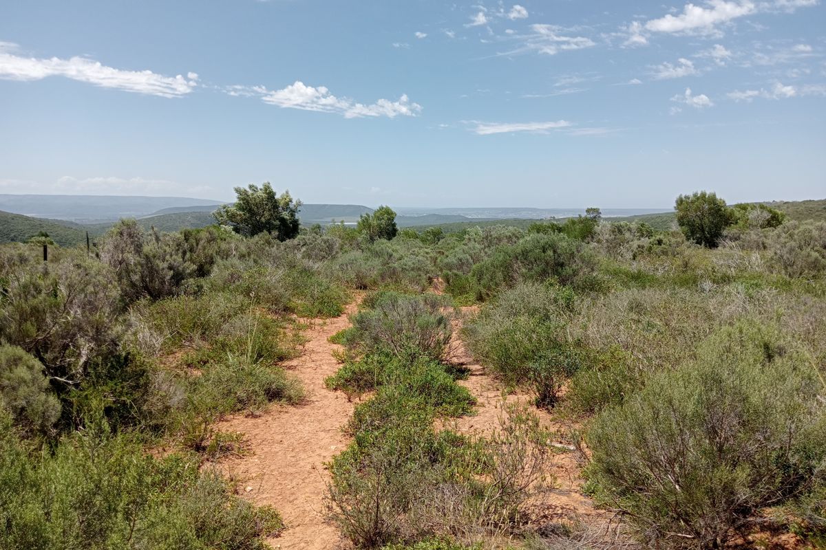 Seize the opportunity to own your piece of paradise! – 55.8645 Hectares of Untapped Potential - Photo 4