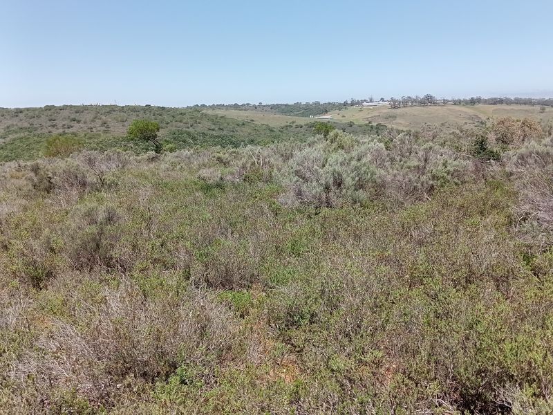 Seize the opportunity to own your piece of paradise! – 55.8645 Hectares of Untapped Potential - Photo 6