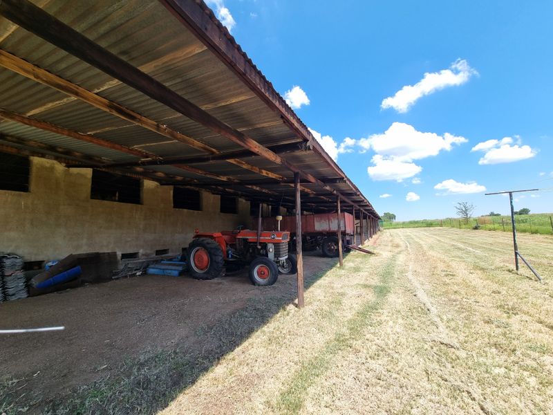 Guest Lodge and Farm Stall - Busy R30 Route - Exceptional Investment Opportunity! - Photo 5