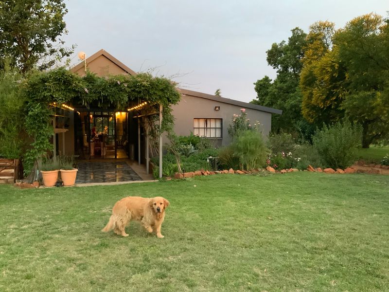 Peaceful Country Living with Modern Amenities - Photo 9