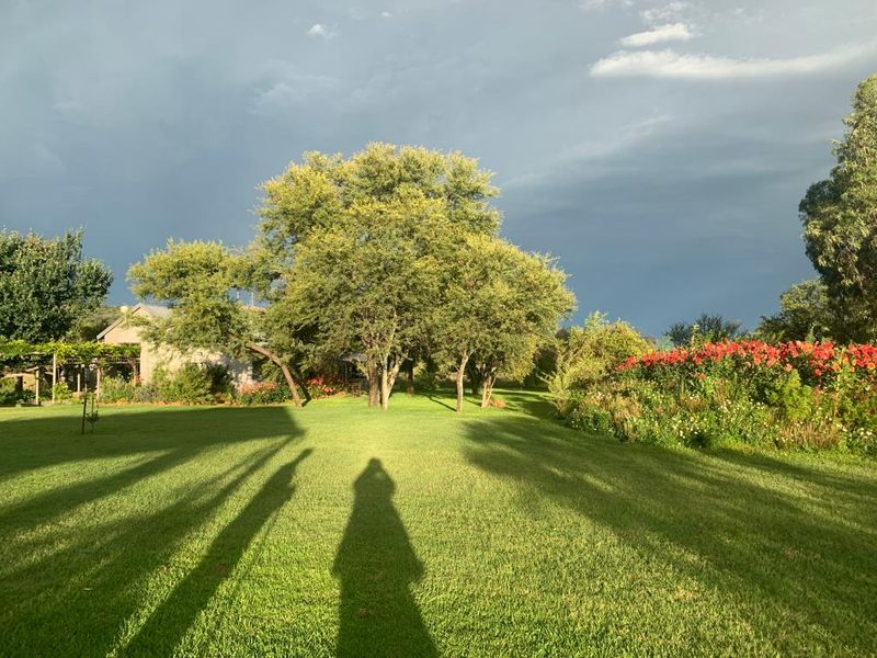 Peaceful Country Living with Modern Amenities - Photo 8