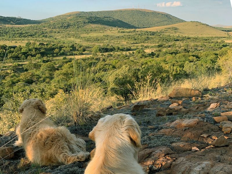 Peaceful Country Living with Modern Amenities - Photo 5