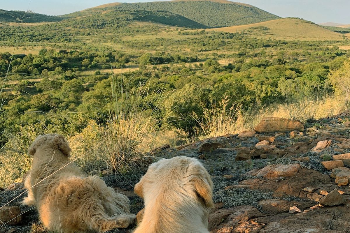 Peaceful Country Living with Modern Amenities - Photo 5