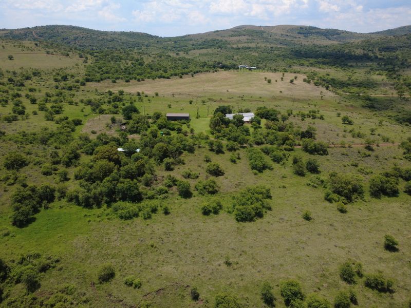 Peaceful Country Living with Modern Amenities - Photo 4