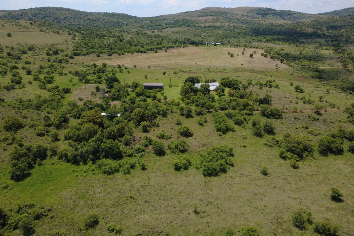 Peaceful Country Living with Modern Amenities - Photo 4