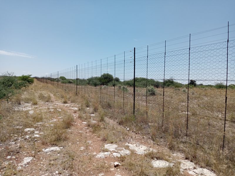 A long stretch of wire mesh farm fencing extending across the dry, rocky landscape under a clear blue sky.