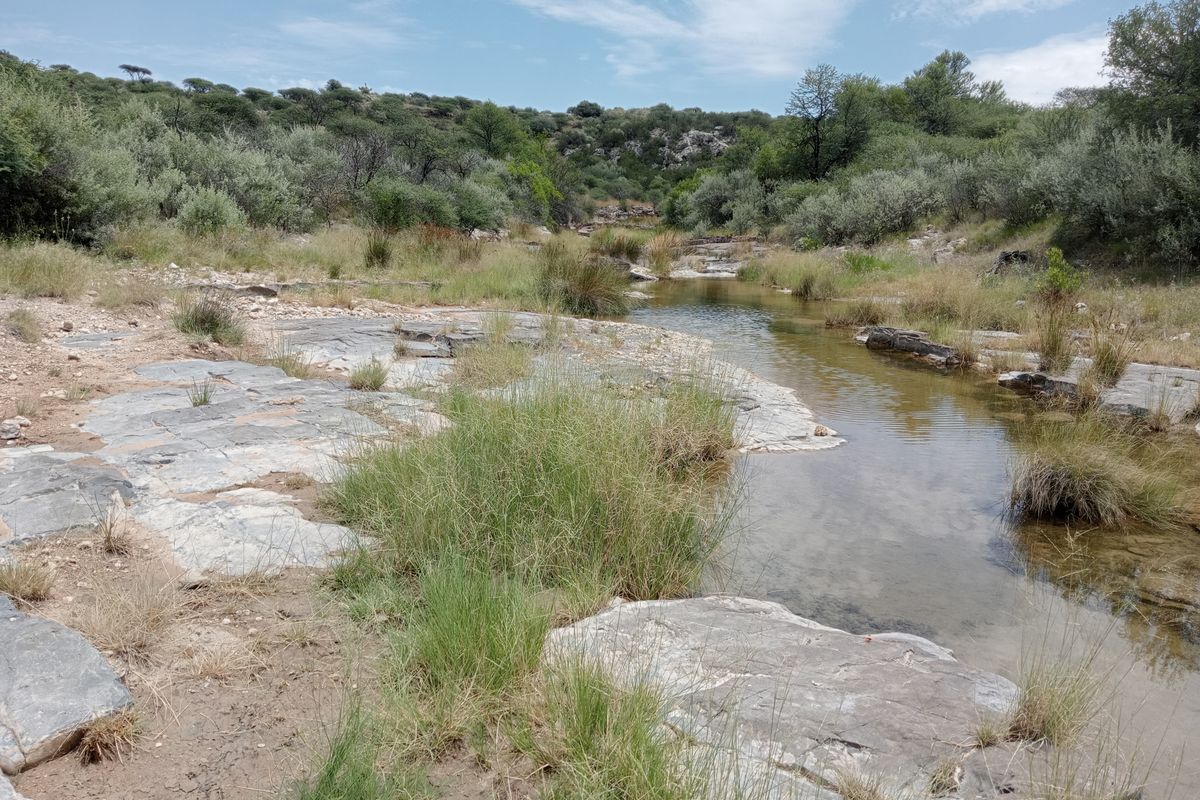 A scenic view of a natural stream flowing through a rocky, rural landscape with native vegetation and rolling hills in the background.