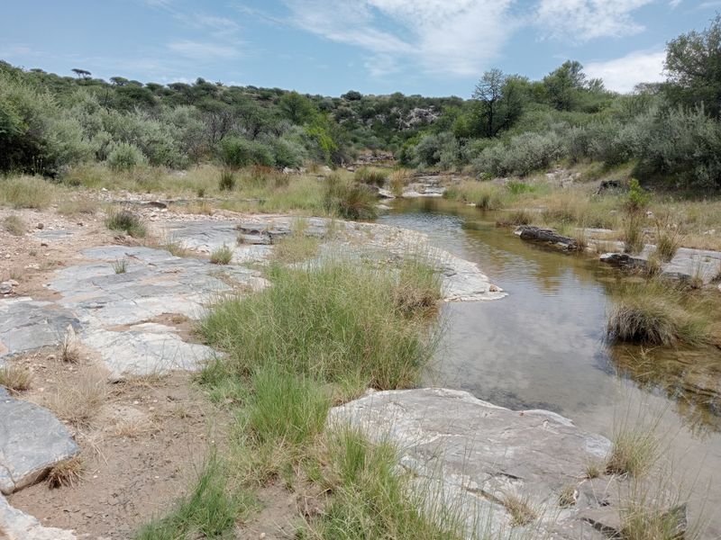 A scenic view of a natural stream flowing through a rocky, rural landscape with native vegetation and rolling hills in the background.