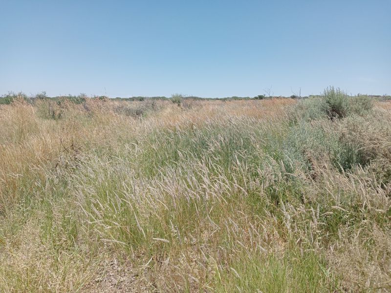 An expansive view of open veld and natural grassland landscape on the farm property.